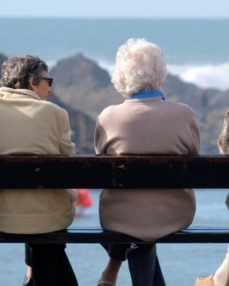 Avertissement de retraite de l'État de DWP, alors que l'ancien économiste appelle à un triple verrouillage à hacher