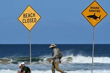 Chaos à Sydney alors que les plages fermées après le requin tuent le surfeur devant des amis