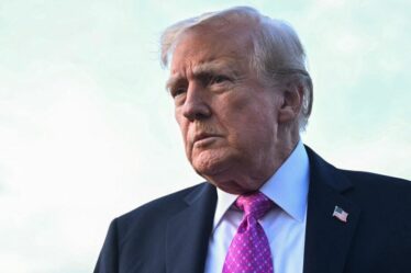 Donald Trump laisse entendre la sauvegarde de Tiktok et révèle une date exacte