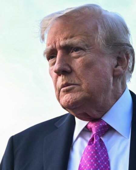 Donald Trump laisse entendre la sauvegarde de Tiktok et révèle une date exacte