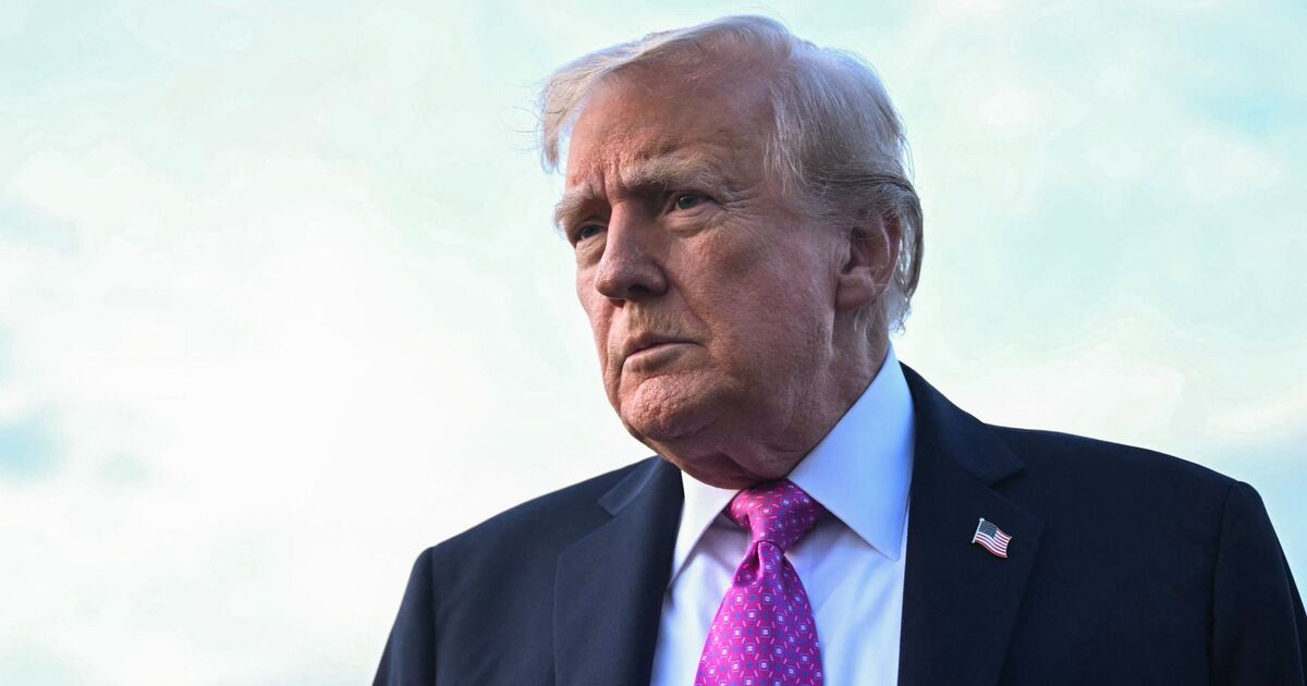 Donald Trump laisse entendre la sauvegarde de Tiktok et révèle une date exacte