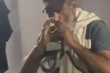 Horror Moment Officier de police a mordu et tué par Cobra tout en l'attrapant à mains nues