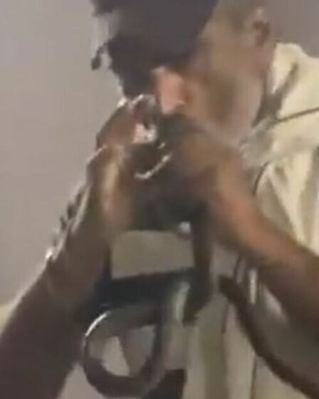 Horror Moment Officier de police a mordu et tué par Cobra tout en l'attrapant à mains nues