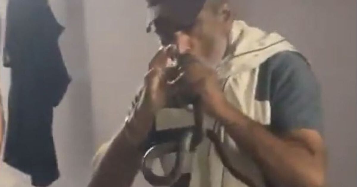 Horror Moment Officier de police a mordu et tué par Cobra tout en l'attrapant à mains nues