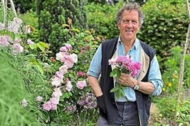 La star du monde des jardiniers Monty Don donne aux fans un aperçu du dernier projet