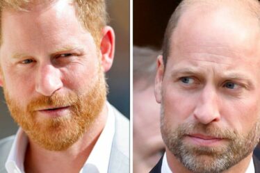 La `` vraie raison '' derrière la visite du prince Harry au Royaume-Uni - et il ne s'agit pas de dépasser William