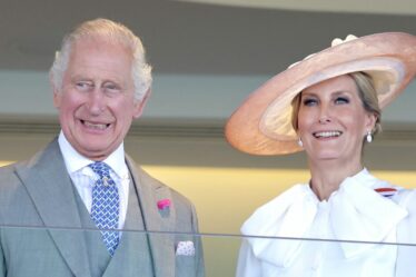 Le roi Charles a eu des discussions secrètes avec la duchesse Sophie quelques minutes avant de rencontrer le prince Harry