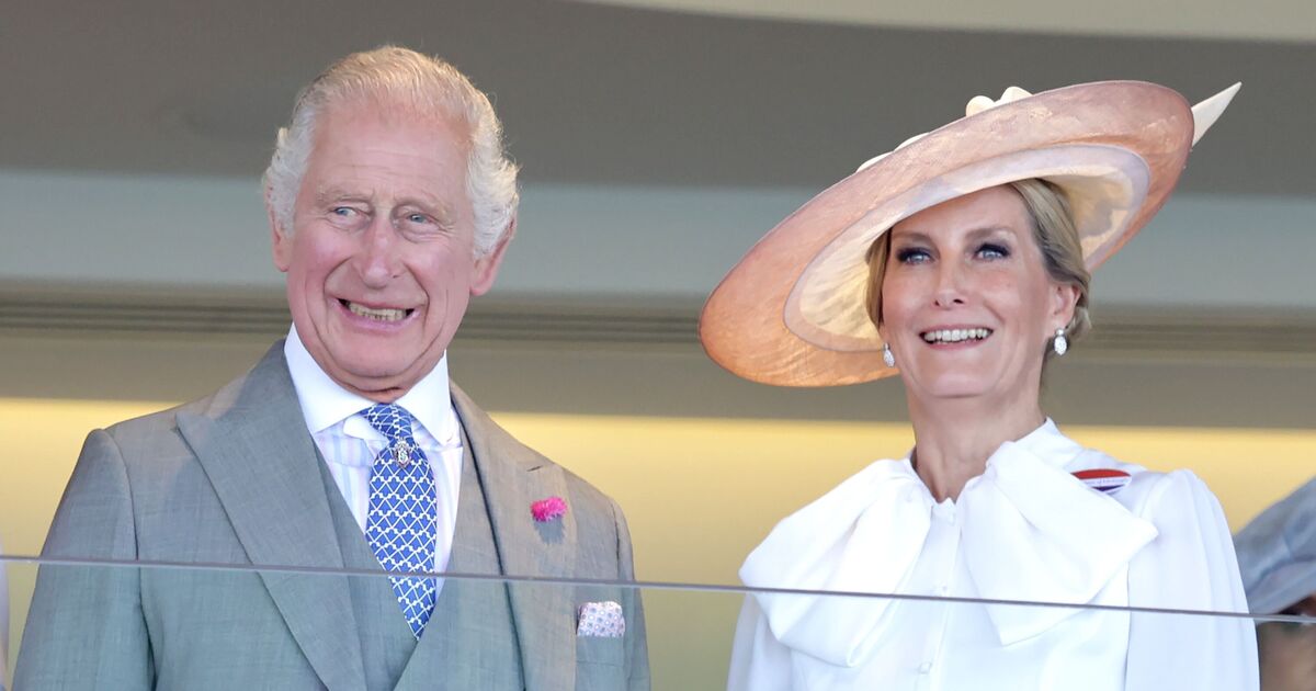 Le roi Charles a eu des discussions secrètes avec la duchesse Sophie quelques minutes avant de rencontrer le prince Harry