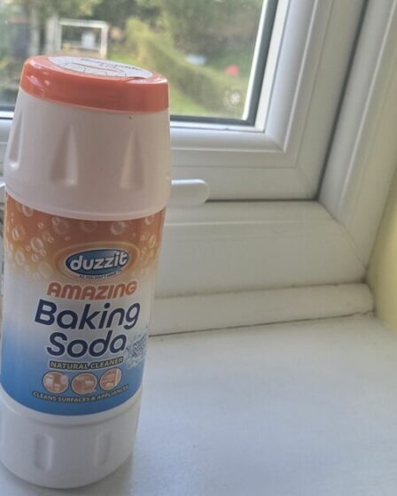 Les ménages ont demandé à mettre du bicarbonate de soude sur les fenêtres à partir d'octobre