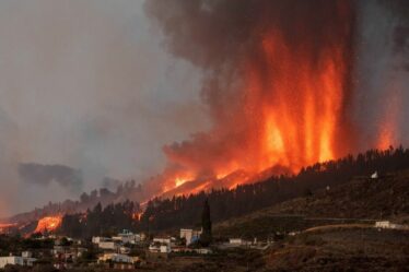 Les touristes de Tenerife ont été avertis comme Island pour activer la plus grande alerte volcanique de tous les temps