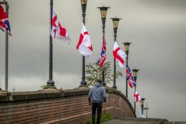 MP du travail marque des Britanniques suspendus les «extrémistes d'extrême droite de St George» de St George »