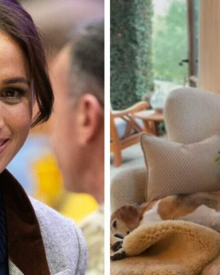 Meghan Markle partage un nouvel aperçu de la maison de Montecito avec un membre de la famille Sweet