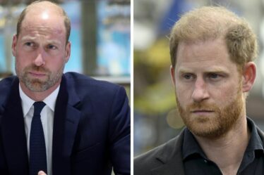 Royal Family Live: le prince Harry risque la colère du prince William avec une remarque de 4 mots