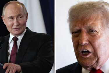 Trump blâmé pour les drones russes en Pologne alors que la mort de l'OTAN craignait si Poutine est impuni