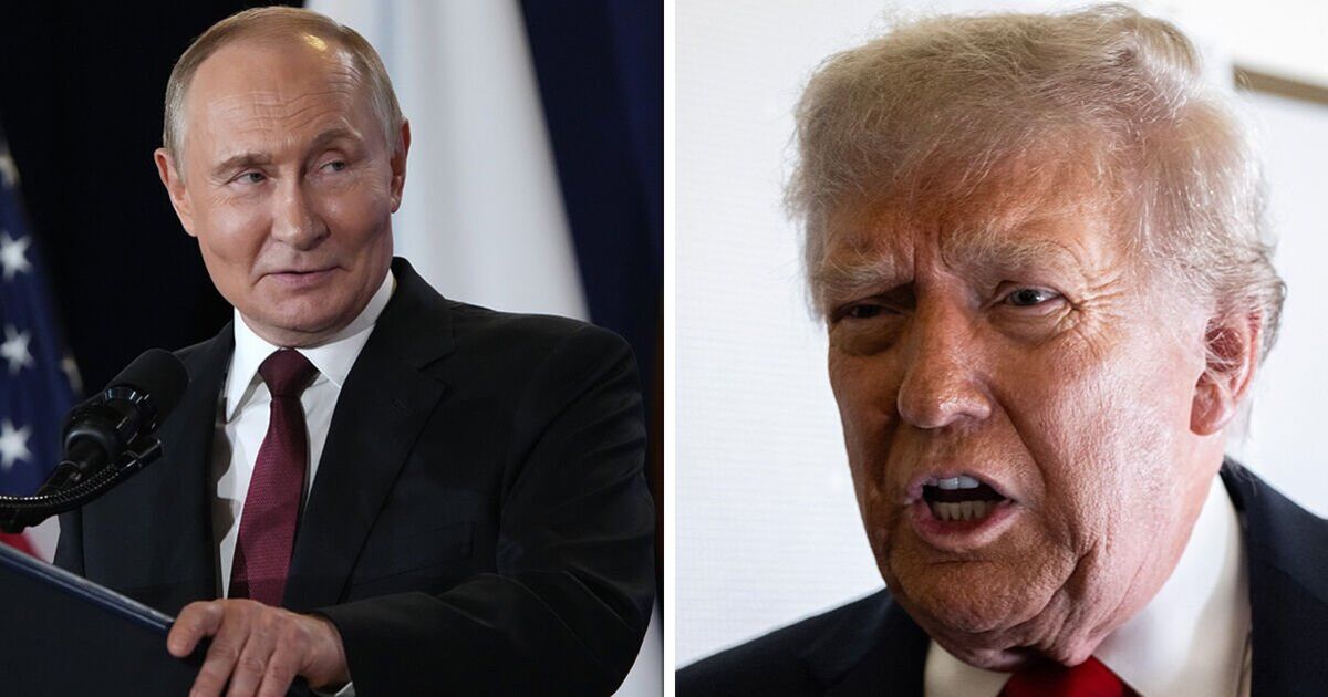 Trump blâmé pour les drones russes en Pologne alors que la mort de l'OTAN craignait si Poutine est impuni