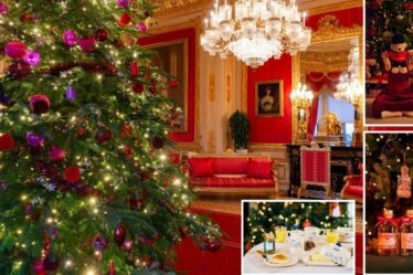Buckingham Palace pour ouvrir la première boutique de Noël comme les plans de festives royaux l'ont révélé