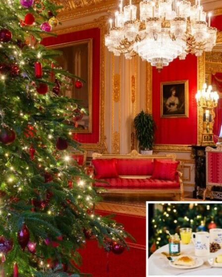 Buckingham Palace pour ouvrir la première boutique de Noël comme les plans de festives royaux l'ont révélé