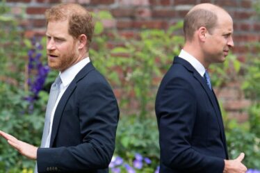 Le prince Harry et le prince William devraient se réunir pour une raison - et ce n'est pas le roi