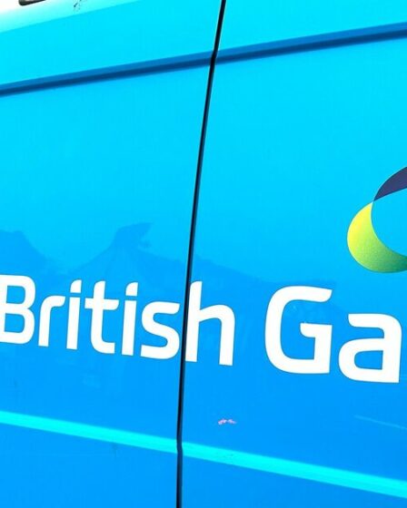Les clients de British Gas sont invités à utiliser les machines à laver entre ces heures