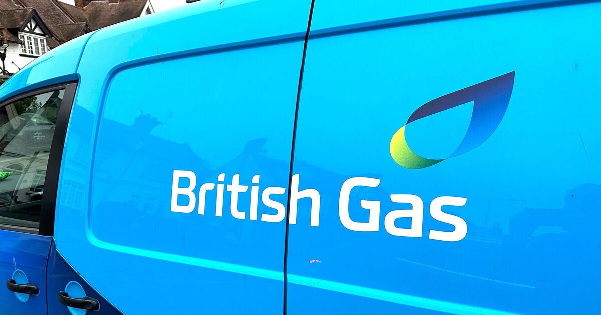Les clients de British Gas sont invités à utiliser les machines à laver entre ces heures