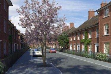 L'incroyable nouvelle ville avec 6 000 magnifiques maisons en construction