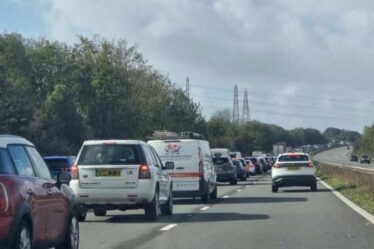 M4 Traffic Live: L'autoroute majeure se ferme complètement alors que Storm Amy Sparks Chaos