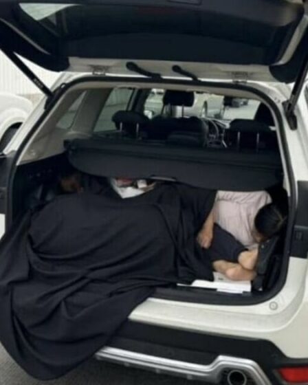 Une conductrice stupéfaite trouve trois femmes dans le coffre de sa voiture qui tentent d'entrer illégalement dans le pays