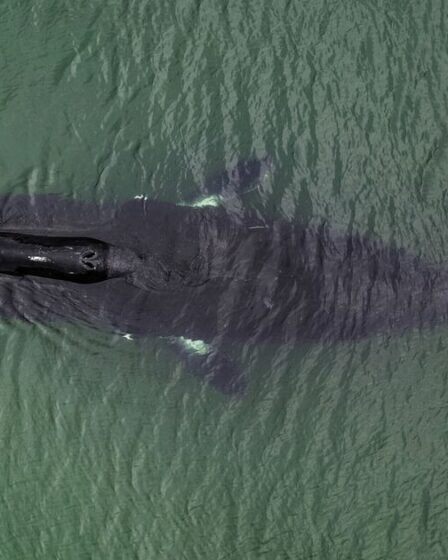 Les humains « pourraient vivre des centaines d’années » grâce à des scientifiques qui déchiffrent le code ADN