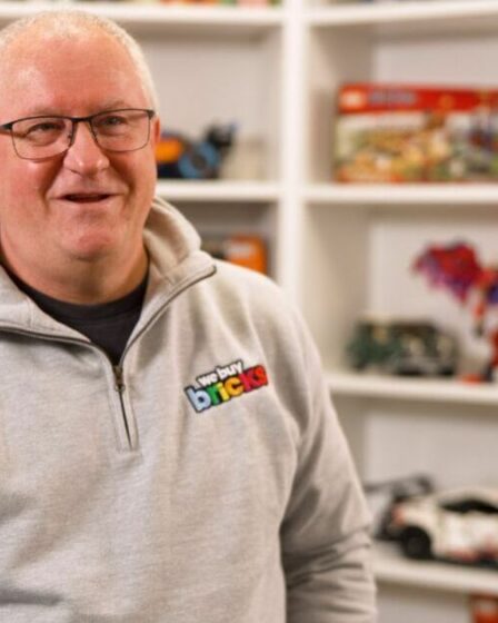 Un homme d'affaires sauve 25 millions de briques Lego de la mise en décharge - voici comment il procède