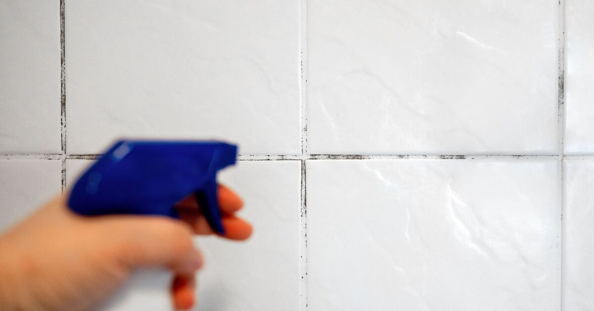 Une astuce 80p qui pourrait bannir définitivement la moisissure dans la salle de bain