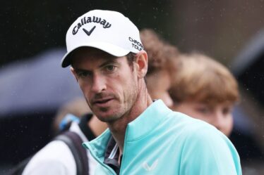 Andy Murray devrait rejeter le poste de BBC Wimbledon malgré les appels de son ancien coéquipier