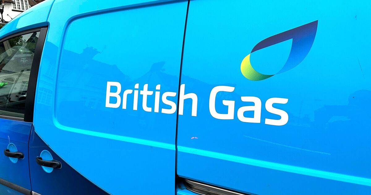 British Gas exhorte les ménages à laisser les fours ouverts après la cuisson