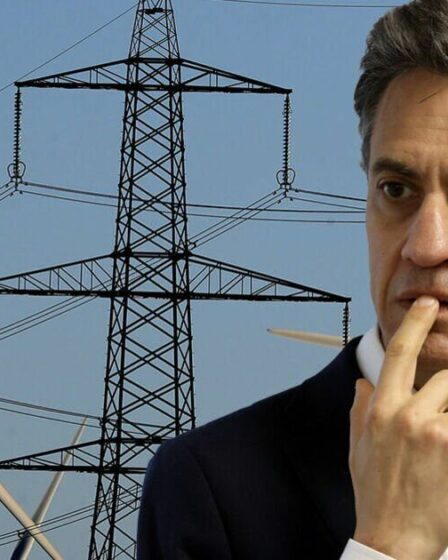 Ed Miliband démasqué alors que le coût total de sa folie nette zéro apparaît – c'est vraiment terrifiant