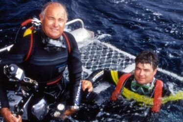 "J'ai été attaqué par un grand requin blanc et j'ai eu le ventre déchiré"