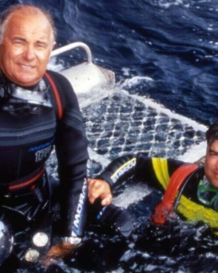 "J'ai été attaqué par un grand requin blanc et j'ai eu le ventre déchiré"