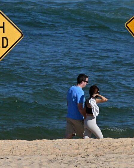 Un garçon de 13 ans, mutilé à mort par un requin déchaîné lors d'une attaque brutale dans un haut lieu touristique