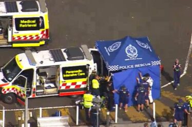 Un garçon se bat pour sa vie après une attaque de requin horrifique près de l'Opéra de Sydney