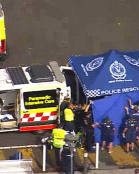 Un garçon se bat pour sa vie après une attaque de requin horrifique près de l'Opéra de Sydney