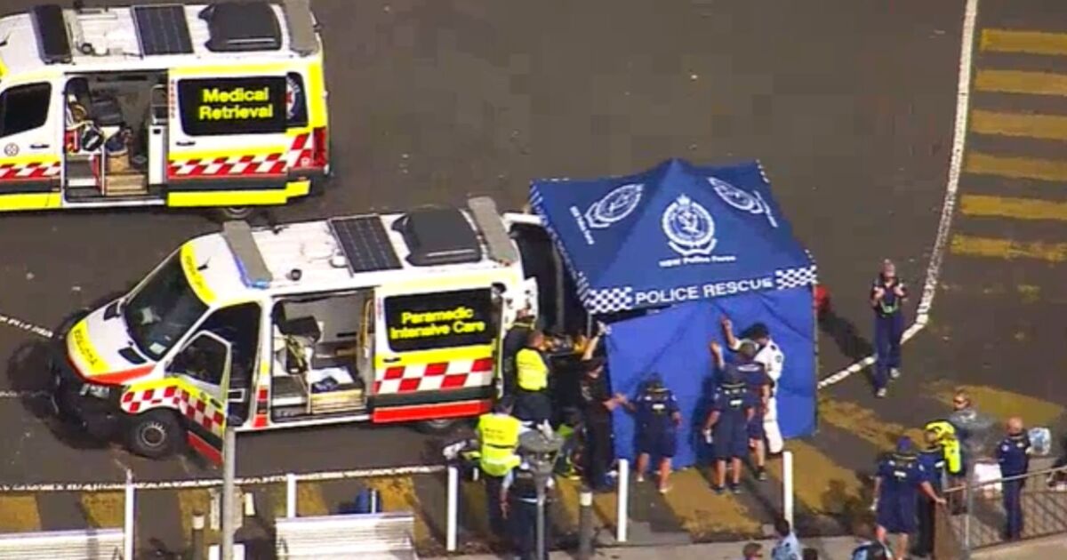 Un garçon se bat pour sa vie après une attaque de requin horrifique près de l'Opéra de Sydney