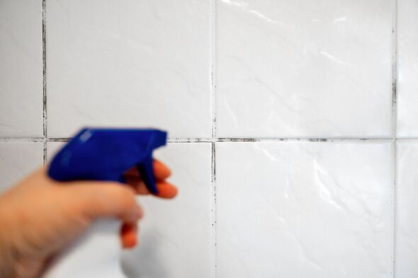 Femme appliquant un agent spécial contre la moisissure noire