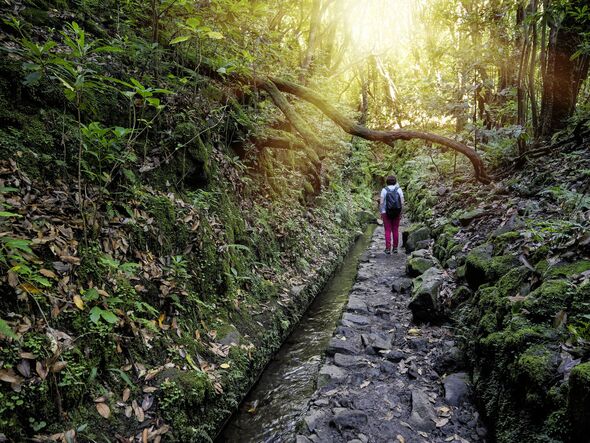 Paysage de montagne avec une femme marchant le long d'un chemin à travers une forêt sur l'île de Madère. 