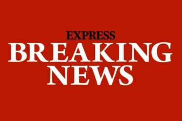 Mort de Fred Smith : le bassiste d'Original Blondie décède alors que son membre du groupe au cœur brisé s'exprime