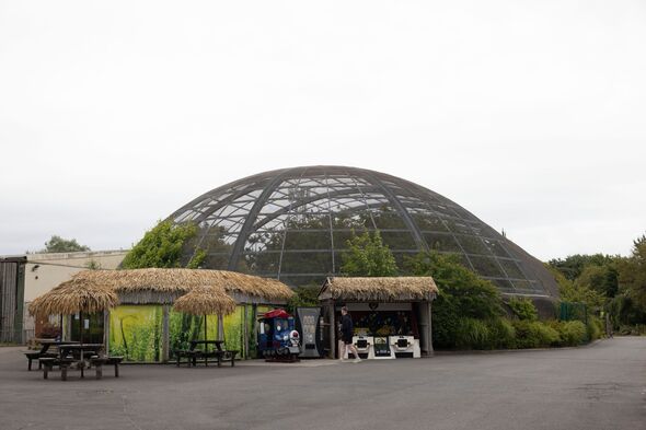 Le zoo de Blackpool a célébré son 50e anniversaire en 2022