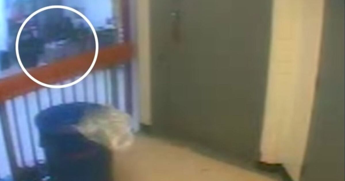 Des images effrayantes montrent le moment où les gardiens de prison trouvent le corps d'Epstein