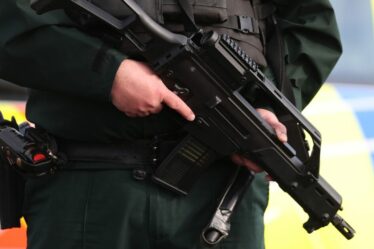 Des policiers armés envahissent les routes près d'une école primaire après un « enlèvement »