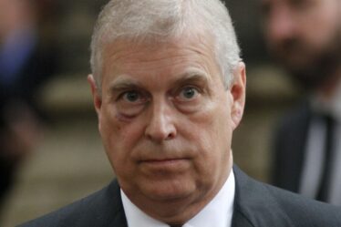 Famille royale EN DIRECT : Andrew a dit à Epstein qu'il voulait être son « animal de compagnie » dans une sombre mise à jour par courrier électronique