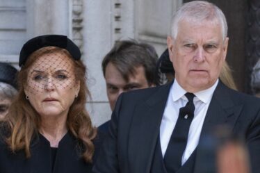 Famille royale EN DIRECT : la nouvelle vie de Sarah Ferguson loin des feux de la rampe et des « tripes de misère » Andrew