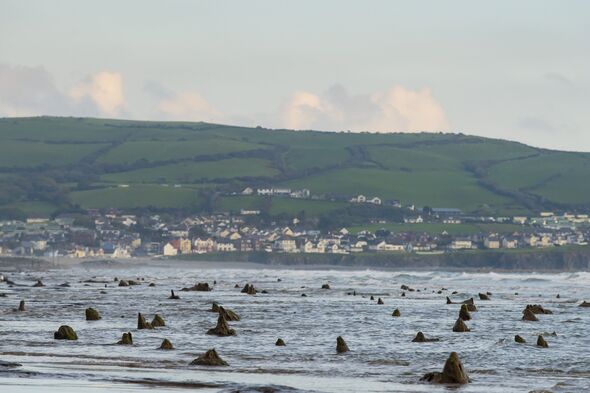 Une ancienne forêt découverte sur une plage galloise Une ancienne forêt découverte sur une plage galloise