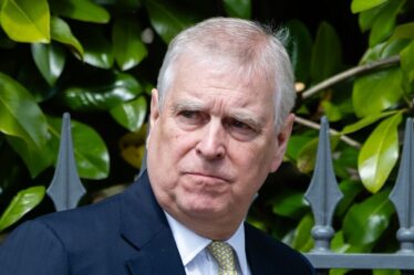 Le « meilleur ami » d’Andrew emmené en soins intensifs après un crash d’avion d’horreur