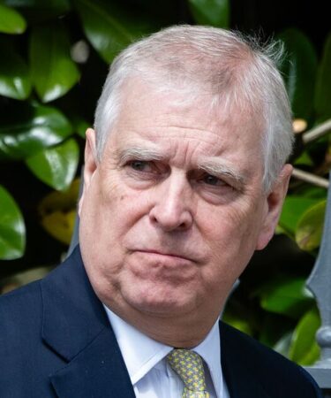 Le « meilleur ami » d’Andrew emmené en soins intensifs après un crash d’avion d’horreur